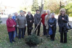 Faültetés - 2010.10.21.