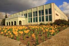 "Méltóság Mezeje" Kazincbarcikán - 2015.04.08.