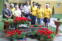 Önkéntesek Hete - 2011.06.06.